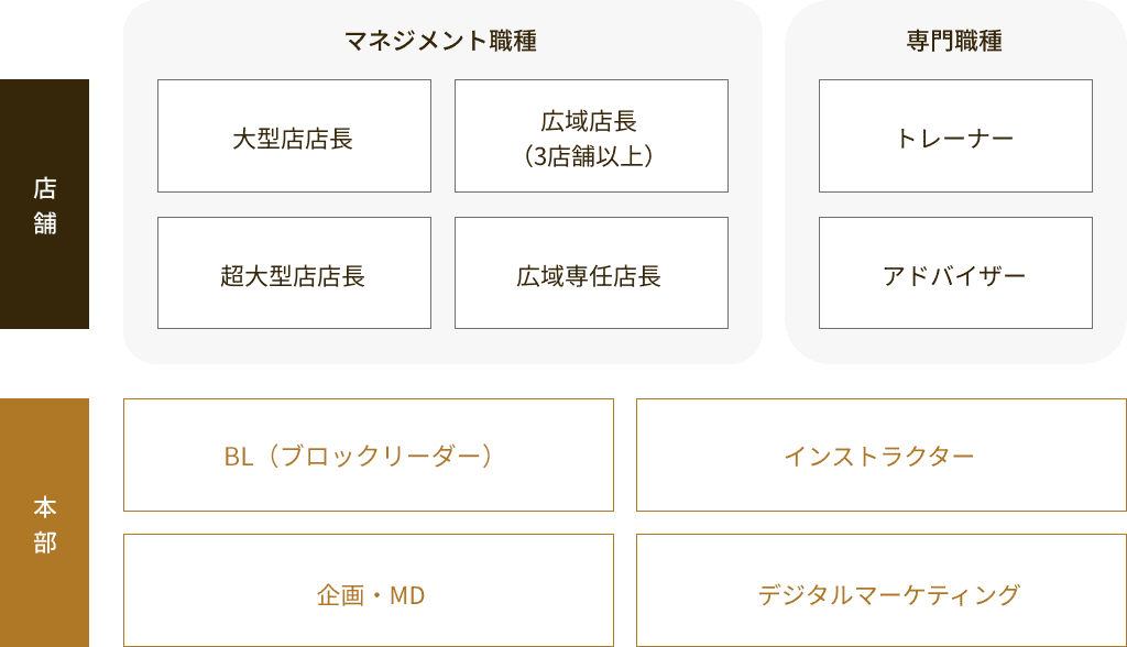 ［店舗］マネジメント職種：大型店店長、広域店長（3店舗以上）、超大型店店長、広域専任店長 専門職種：トレーナー、アドバイザー ［本部］SV（スーパーバイザー）、インストラクター、企画・MD、デジタルマーケティング